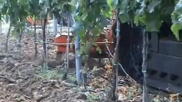 Садовый культиватор для межстволовой обработки Rinieri EP Power Harrow