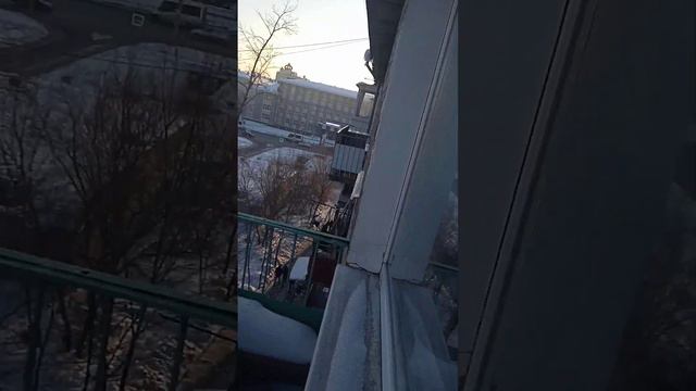 Зимний вид 2 2023 года смотреть онлайн