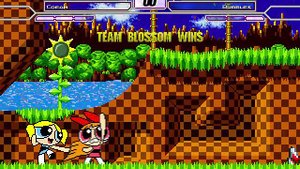 MUGEN 2v2 ~ Amy Rose & Cream the Rabbit VS Blossom & Bubbles