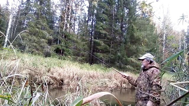 Тенкара моя любовь смотреть онлайн