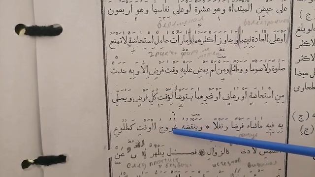 Урок 21 Ханафиитский текст Махди Ханафи смотреть онлайн