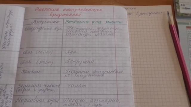 ВАЖНОЕ! Планирование.  Как облегчить свои садово -  огородные работы.