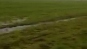 ģę0грāф\\\subliminal