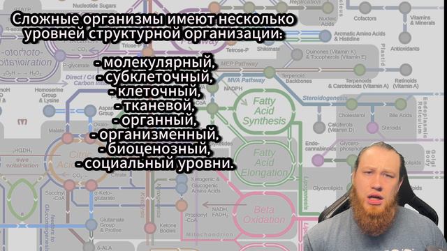 Биохимия человека, лекция №3: обмен веществ и энергии в организме человека, анаболизм и катаболизм смотреть онлайн