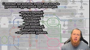 Биохимия человека, лекция №3: обмен веществ и энергии в организме человека, анаболизм и катаболизм