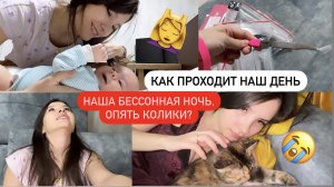 КУДА МЫ ВКЛАДЫВАЕМ ДЕНЬГИ//ИНВЕСТИЦИИ ИЛИ ТУПАЯ ТРАТА СРЕДСТВ