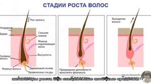 Масло для роста волос