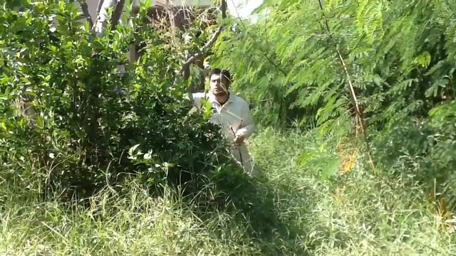 Película niño barbón смотреть онлайн