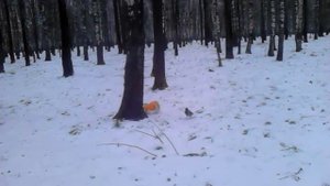 Игра в догонялки