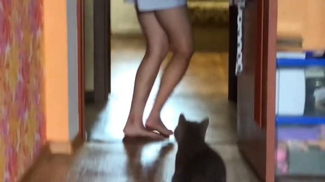 VLOG/ приехала в луганск! день с девочками ? 12.08.21 смотреть онлайн