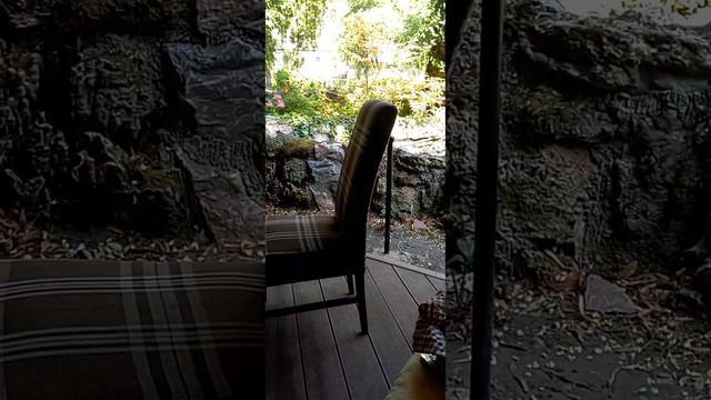 Сербия. ВНЖ. Счет в банке. Цены на недвижимость. смотреть онлайн