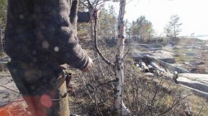 Обзор булатного ножа Пампуха И.Ю. модели 071