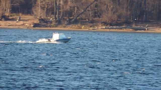 Супер зум, нереальный зум на камере смотреть онлайн