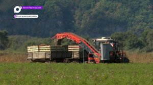 Земля Приморская / Все в поля / 02.10.23