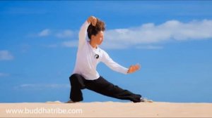 qi gong music sounds relaxing tai chi music and qigong meditation nature music