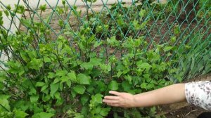 Уход за климатисом