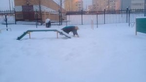 Пёс Тотоша, тихо падает снег, поджидаем Рождество🐶🤗👂👀