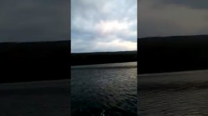 Шармакс 9.8 обкатку закончил .