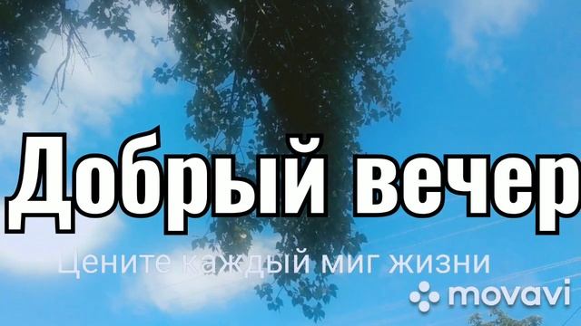 Добрый вечер смотреть онлайн