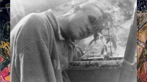 Химера- Разорались Вороны