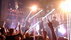 Тараканы-Кто они?