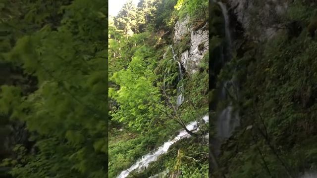 Невероятная Черногория || Парк Дурмитор || Incredible Montenegro, Durmitor Park