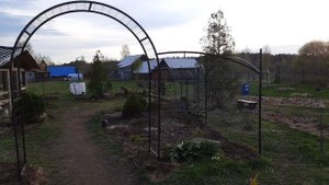 Небольшой обзор арок для клематисов.