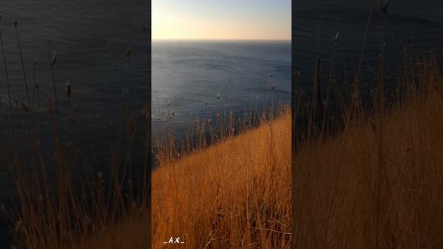 Красота уходящей осени  #Shorts