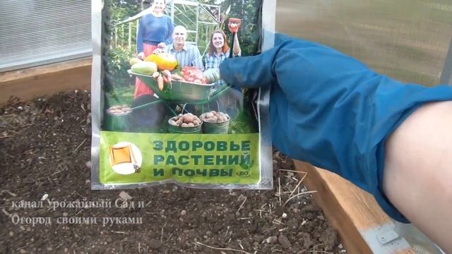 Как делать землю плодородной весь садовый сезон. Удобрение, открытый грунт.mp4