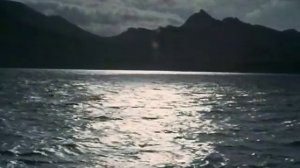 Куда ты скачешь, мальчик?