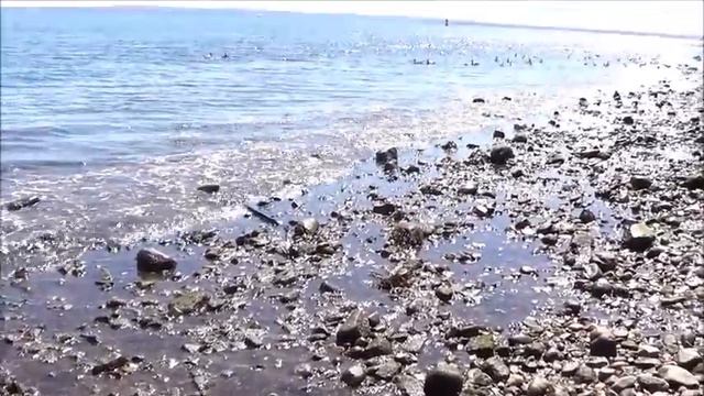 #433 США, Поездка на BBQ, но планы пришлось поменять... смотреть онлайн