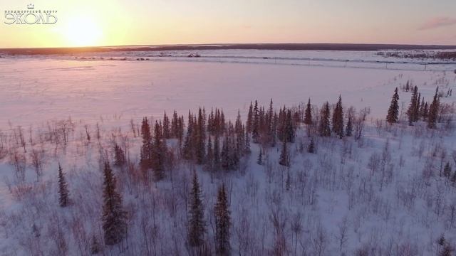 Дарья Волосевич (13 лет) - _Небо славян_ - www.ecoleart.ru(1080P_HD).mp4 смотреть онлайн