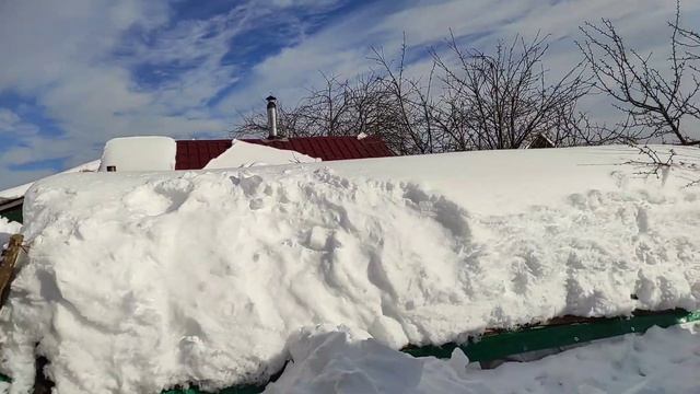 ЗИМНЕЕ СОДЕРЖАНИЕ БАРАНОВ / ОТКОРМ ДОМАШНИХ БАРАНОВ смотреть онлайн