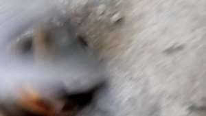 25 разбор стойки