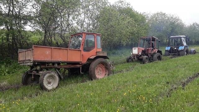 Утопили болото три #трактор.#беларус #мтз T-25 T-16