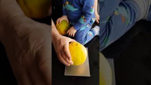 Как вырастить апельсины дома.