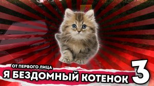 Я БЕЗДОМНЫЙ КОТЕНОК. От первого лица. Серия 3. История одной жизни