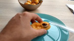 Какая на вкус мушмула Плоды мушмулы Дегустация мушмула Аланья Турция Эриоботрия японская Мушмула