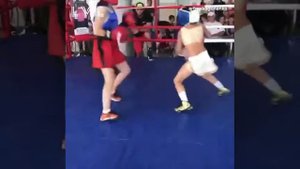 Дети боксеры