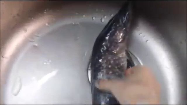 #Какбыстро и легко почистить рыбу/ #fish #щука   How to clean fish