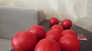 Дегустация томатов Кибо и Пинк Мэджик.10.09.2019