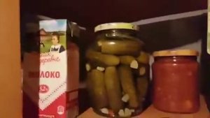 Отзыв о погребе Уралец 10