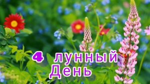 4-ый лунный день.