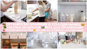 ГЛОБАЛЬНАЯ ПЕРЕОРГАНИЗАЦИЯ В ХОЛОДИЛЬНИКЕ ЗАКУПКА ПРОДУКТОВ ЗАГОТОВКА ИНГРЕДИЕНТОВ ВКУСНЫЕ РЕЦЕПТЫ