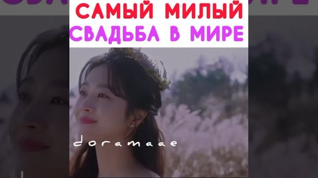 САМЫЙ КРАСИВЫЙ И МИЛЫЙ СВАДЬБА В МИРЕ ?▫️ МОМЕНТ ИЗ ДОРАМА СКАЗКА О КУМИХО/ ЛЕГЕНДА О КУМИХО