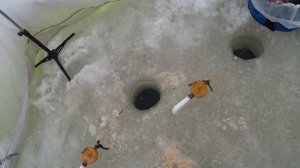 Рыбалка на Можайском водохранилище 2022. Плотва-Окунь.