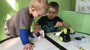 Боевые Роботы.Робо комбат.Бои роботов.Robo kombat.