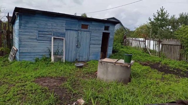 Купили дачу#Что изменилось за это время#Обзор проделанной работы#Остались без крыльца и веранды? смотреть онлайн