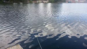 Поисковый магнит Первый заброс и находки Рыбалка на магнит Magnet Fishing