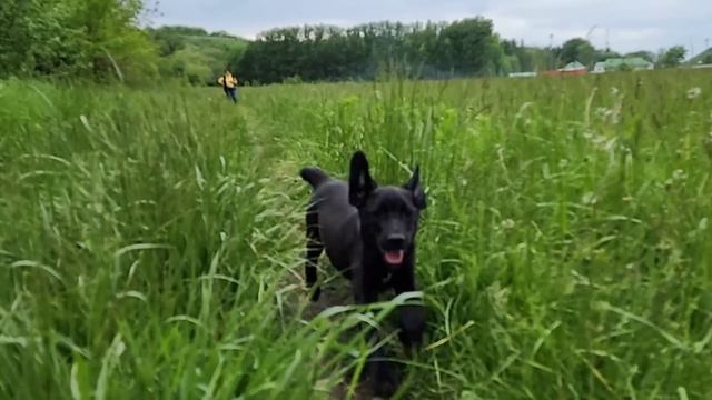 Кай и Герда , которых вы не видели 🥰 смотреть онлайн